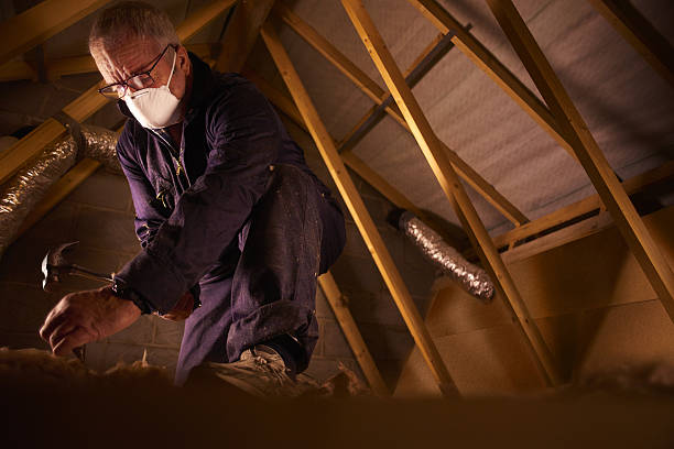 Best Eco-Friendly Insulation in Franklin, TN